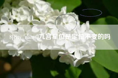 攀枝花九宫星位是定位不变的吗