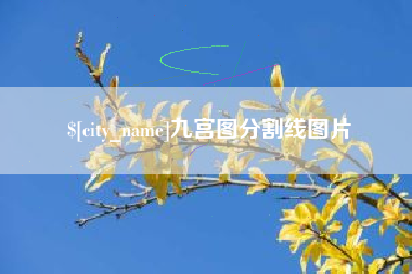 攀枝花九宫图分割线图片