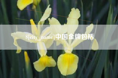 攀枝花中国金牌包括