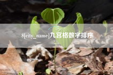 攀枝花九宫格数字排序