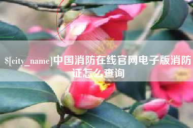 攀枝花中国消防在线官网电子版消防证怎么查询