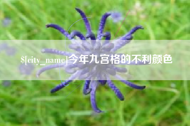 攀枝花今年九宫格的不利颜色