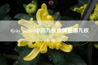 攀枝花中国九枚金牌是哪九枚