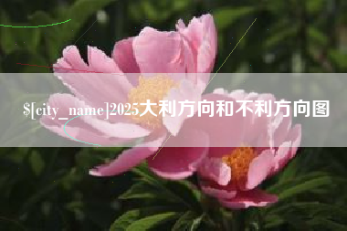 攀枝花2025大利方向和不利方向图