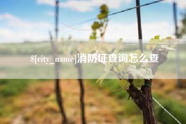 攀枝花消防证查询怎么查