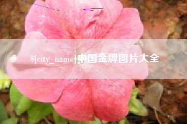 攀枝花中国金牌图片大全
