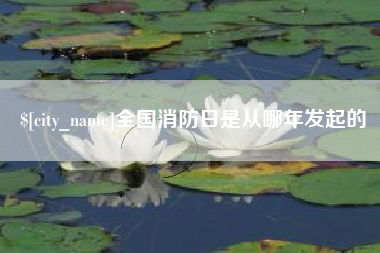攀枝花全国消防日是从哪年发起的