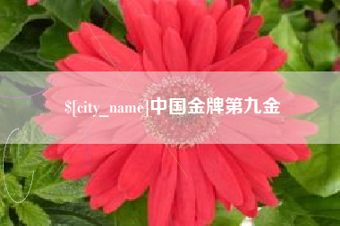 攀枝花中国金牌第九金