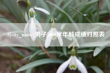攀枝花男子5000米年龄成绩对照表