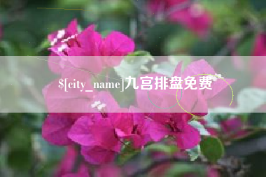 攀枝花九宫排盘免费