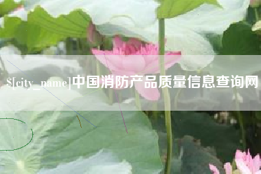 攀枝花中国消防产品质量信息查询网