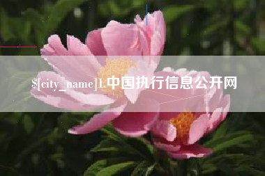 攀枝花1.中国执行信息公开网