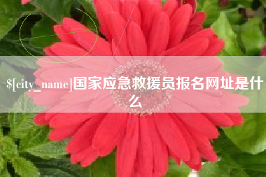 攀枝花国家应急救援员报名网址是什么