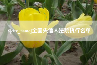 攀枝花全国失信人法院执行名单