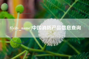 攀枝花中国消防产品信息查询