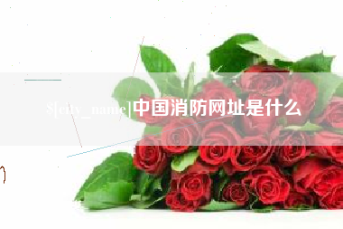 攀枝花中国消防网址是什么