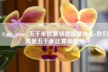 攀枝花五千米比赛领跑员是什么-他们就是五千米比赛领跑员
