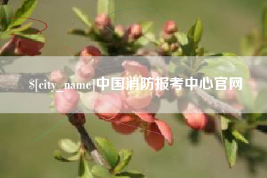 攀枝花中国消防报考中心官网
