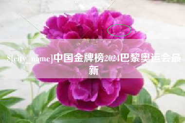 攀枝花中国金牌榜2024巴黎奥运会最新
