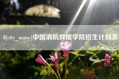 攀枝花中国消防救援学院招生计划表