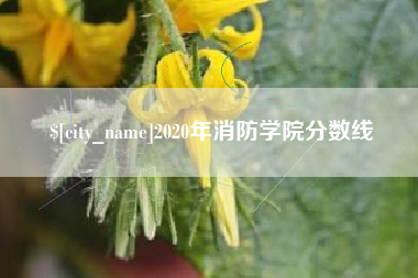 攀枝花2020年消防学院分数线