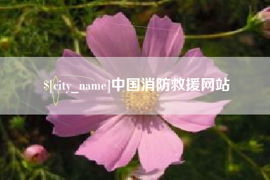 攀枝花中国消防救援网站