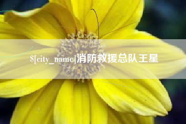 攀枝花消防救援总队王星