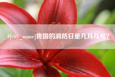 攀枝花我国的消防日是几月几号？