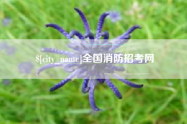 攀枝花全国消防招考网