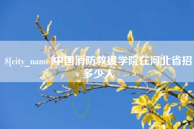 攀枝花中国消防救援学院在河北省招多少人