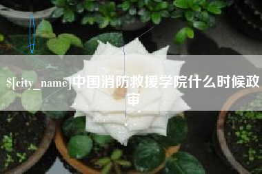 攀枝花中国消防救援学院什么时候政审
