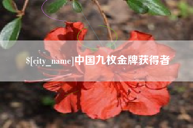攀枝花中国九枚金牌获得者