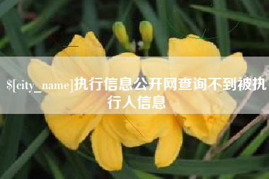 攀枝花执行信息公开网查询不到被执行人信息