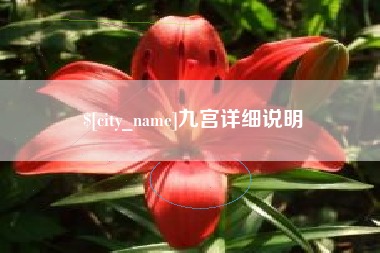 攀枝花九宫详细说明