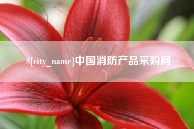 攀枝花中国消防产品采购网
