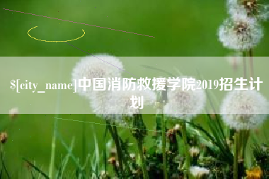 攀枝花中国消防救援学院2019招生计划
