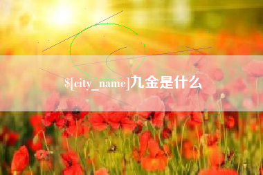攀枝花九金是什么