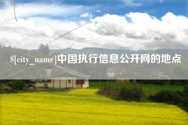 攀枝花中国执行信息公开网的地点