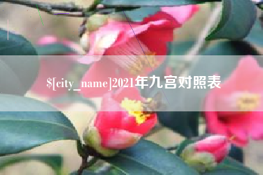 攀枝花2021年九宫对照表