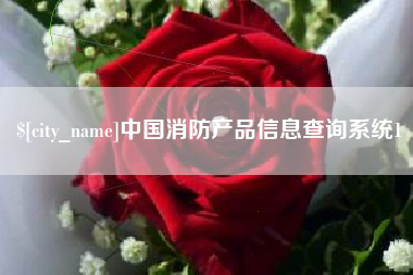攀枝花中国消防产品信息查询系统1