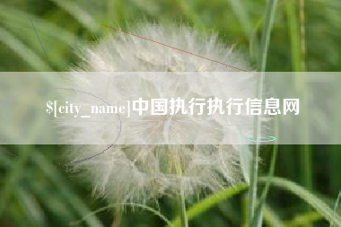 攀枝花中国执行执行信息网