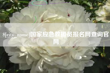 攀枝花国家应急救援员报名网查询官网