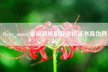 攀枝花查询消防职业资格证书真伪网站