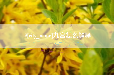 攀枝花九宫怎么解释