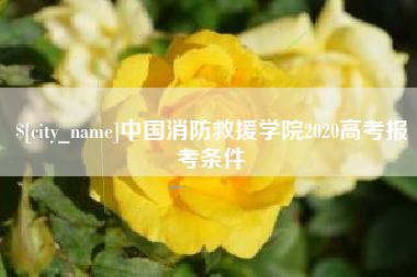 攀枝花中国消防救援学院2020高考报考条件