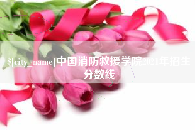 攀枝花中国消防救援学院2021年招生分数线