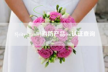 攀枝花消防产品ccc认证查询