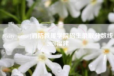 攀枝花消防救援学院招生录取分数线2020福建