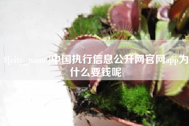 攀枝花中国执行信息公开网官网app为什么要钱呢