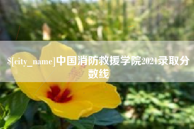 攀枝花中国消防救援学院2021录取分数线